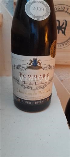Borgogna Pommard Domaine Pavillon Clos des Ursulines 2009