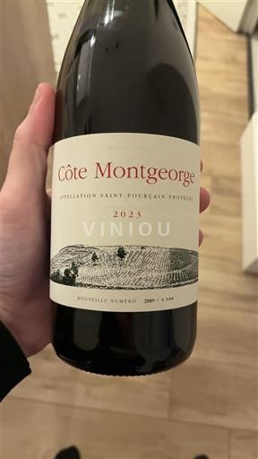 Vale do Loire Saint-Pourçain Côte Montgeorge 2023