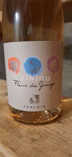 Beaujolais Penlois Fleur de Gamay 2024