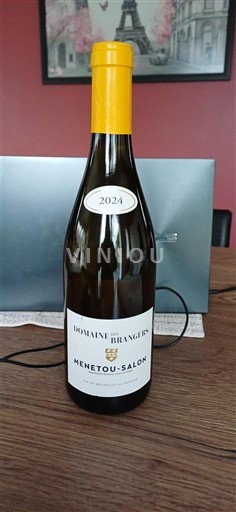 Loiredalen Menetou-Salon Domaine Brangers 2024