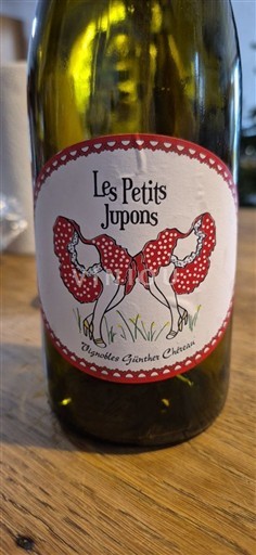 Loiren laakso Muscadet-sèvre-et-maine Vignobles Günther Chéreau Les Petits Jupons 2023