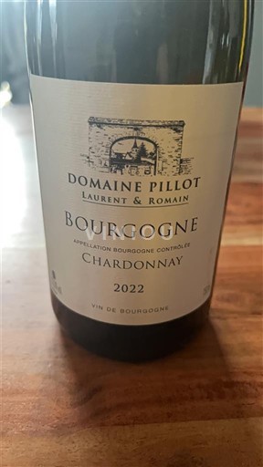 Bourgogne Domaine Pillot 2022
