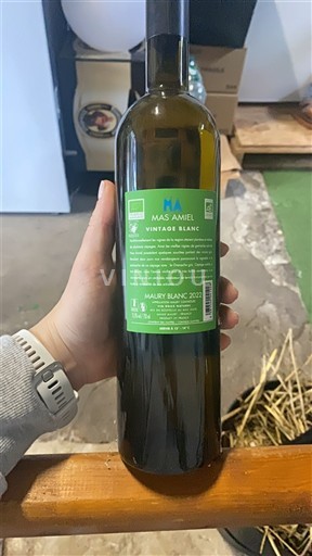 Roussillon Maury Sec Mas Amiel Vintage Blanc 2022