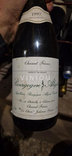 Bourgogne Bourgogne Aligoté Chanut Frères 1997