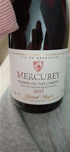Burgundy Mercurey Premier Cru Gérard Boyer Premier Cru Les Combins 2017