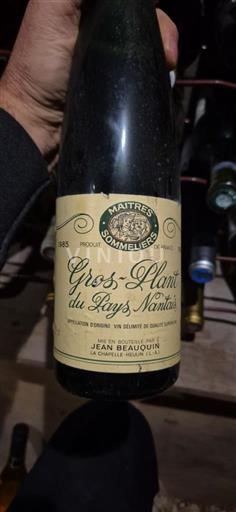 Valle della Loira Gros-plant-del-paese-nantese Jean Beauquin 1985