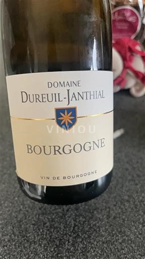 Bourgogne Domaine Reuil-Janthial 2023