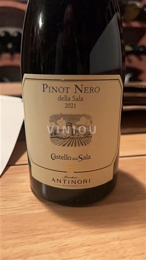 Umbrië Niet gespecificeerd Castello della Sala Pinot Nero della Sala 2021