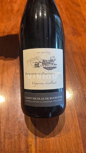 Loire-dalen Saint-Nicolas-De-Bourgueil Domaine Plessis-Senou 2018
