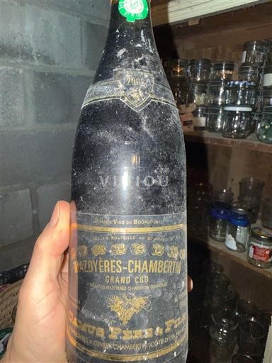 Bourgogne Mazoyères-Chambertin Grand Cru Château Pére-Tardieu 2002