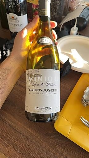 Rhône-dalen Saint-Joseph Cave de Tain Terre de Violettes 2023