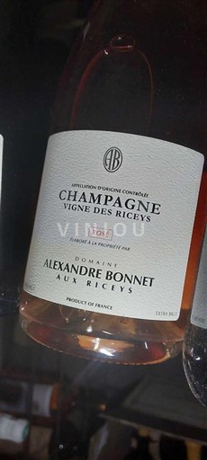 Champagne Domaine Alexandre Bonnet Vigne des Riceys Rosé Niet-geïntegreerd