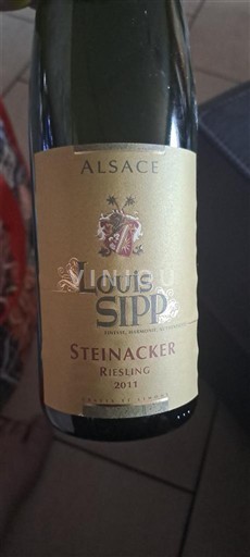 Alsacia Louis Sipp Steinacker 2011