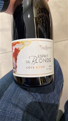 Rhônedalen Côte-rôtie Pierre Gaillard Esprit de Blonde 2023