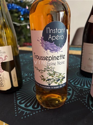 Valle della Loira Vandea L'Instant Apéro Troussepinette Épine Noire Senza annata