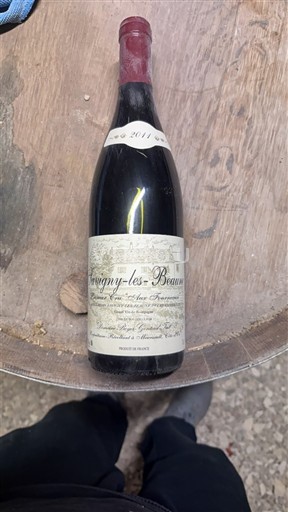 Burgundy Savigny-lès-Beaune Domaine Boyer-gontard-juil 2011