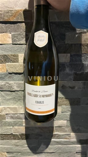 Burgundsko Chablis Mouillard Symphorien 2021