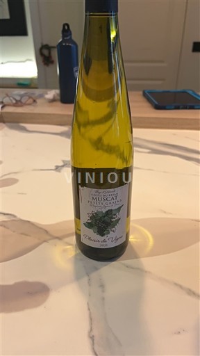 Alsace Ospecificerad Plaisiers de Vigne 2021