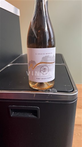 Valle d'Aosta Pinot Gris Il Cielo di Radaelli 2024