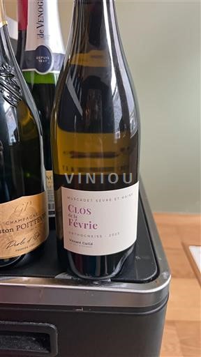 Loiren laakso Muscadet-sèvre-et-maine Clos de la Févrie 2021