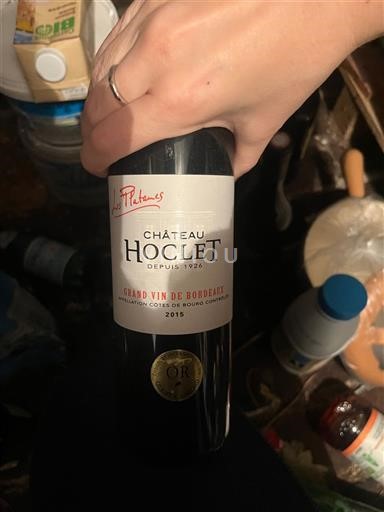 Bordeaux Côtes-de-bourg Château Hoclet 2015