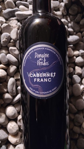 Genève Mandement Domaine S Pendus Cabernet Franc 2017