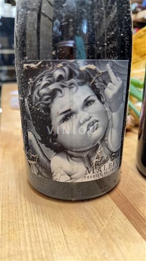 Mendoza Fabre Montmayou L'enfant terrible 2020