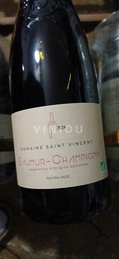 Loiren laakso Saumur-champigny Domaine Saint Vincent Famille Vadé 2024