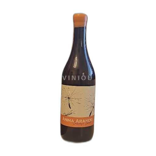 Vini Orange sec Anima Arancio Giacomo Fenocchio 2023 Italia Piemonte DOC