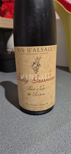 Weine Rouge sec Pinot Noir de Rodern Rolly Gassmann 2012 Frankreich Elsass Pinot Noir AOC