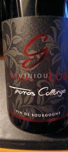 Bourgogne Thomas Collonge Gamay Ruby 2016