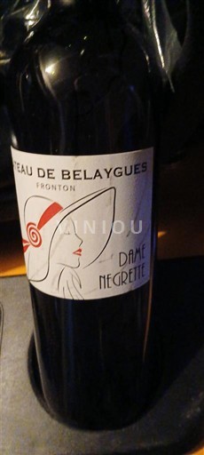 Vine Rouge sec Dame Négrette Château Belaygues 2022 Frankrig Sydvestfrankrig Fronton AOC