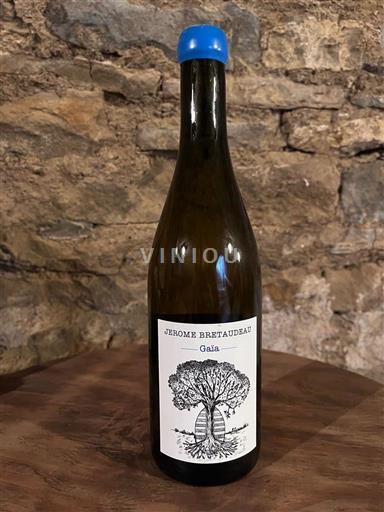 Dolina Loare Ni doloceno Domaine Jérôme Breaudau Gaïa 2023