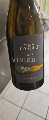 Loiredalen Muscadet-Sèvre-et-Maine Pierre-Henri Gadais Vigne de L'Astrée Monopole 2022