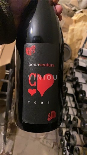 Languedoc Bonaventura Cœur 2023