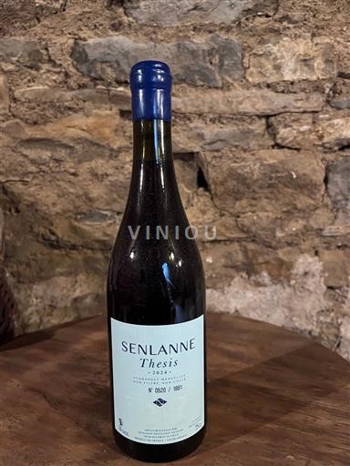 Languedoc Senlanne Thesis 2024