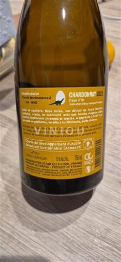 Linguadoca e Rossiglione Paese d'Oc Ampelosaurus Empreinte des dinosaures 2023