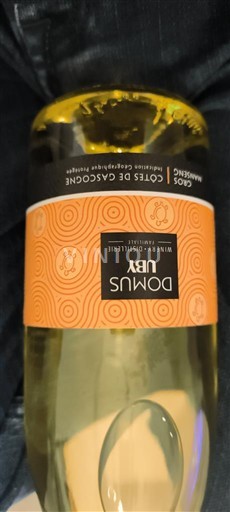 Sud-Ovest Côtes de Gascogne Domus Vini 2024