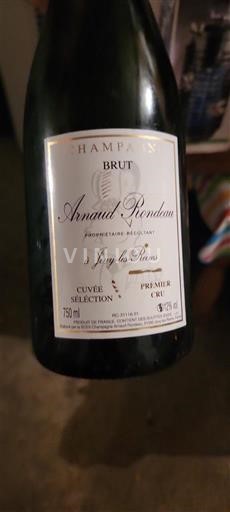 Champagne Premier Cru Arnaud Rendon Sélection Niet-geïntegreerd