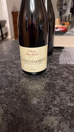 Borgogna Gevrey-Chambertin Domaine Hubert Bouguin 2023
