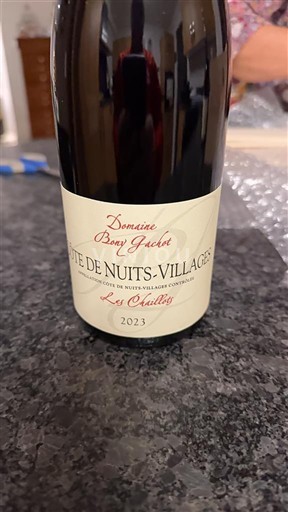 Burgundsko Côte de nuits villages Domaine Bony Gachot Les Chaillots 2023