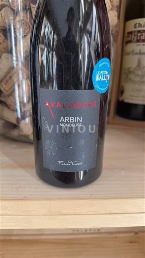 Jura Arbois Fabien Trosset Avalanche 2020