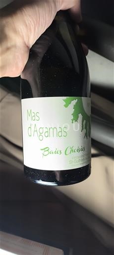 Wines Blanc demi-sec Baies Choisies Mas d'Agamas Non millésimé France Languedoc-Roussillon Saint-Guilhem-le-Désert IGP