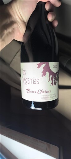 Languedoc Terrasses-du-larzac Mas d'Agamas Bois Choisis 2022