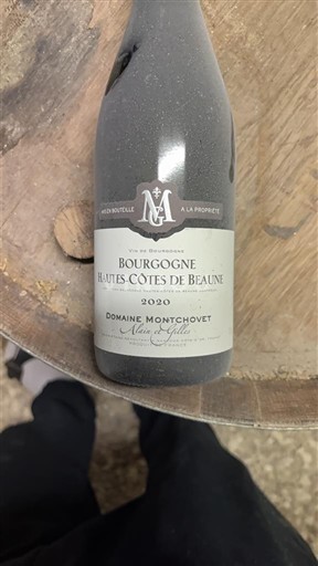 Bourgogne Ospecificerad Domaine Montchovet 2010