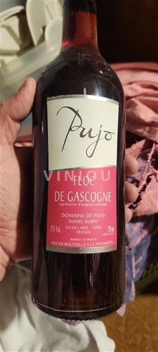 Sud-Ovest Floc di Guascogna Domaine Pujo Senza annata