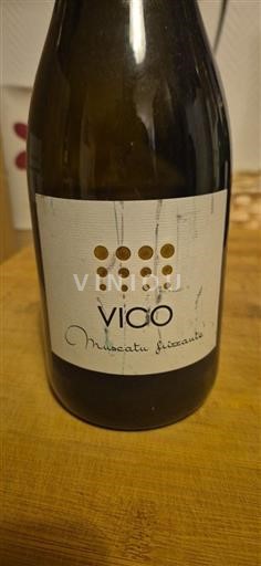 Languedoc in Roussillon Dolina Cesse Vico Muscatu frizzante Neleten.