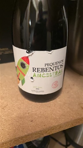 Portugal Vinho verde Pequenos Rebentos Ancestral 2021