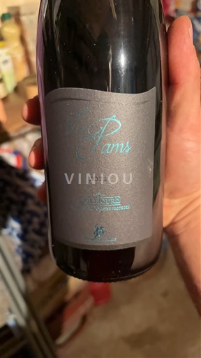 Roussillon Côtes-du-Roussillon Domaine Les Pams 2022