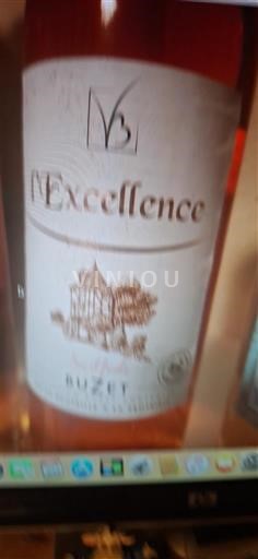 Sydväst Buzet Vignerons de Buzet L'Excellence 2023